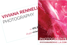 Viviana Rennella Photography