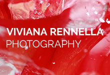 Viviana Rennella Photography