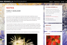 Viviana Rennella Photography